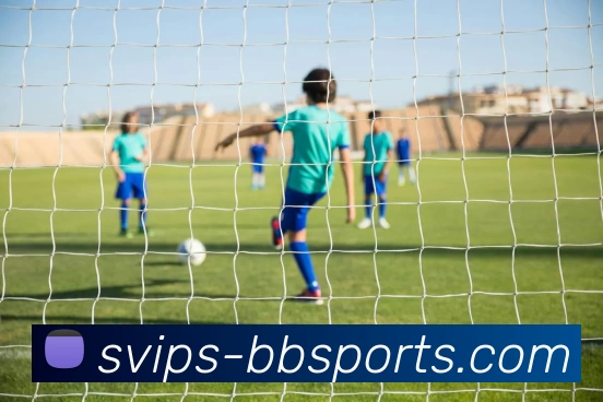 BBSport体育APP下载发展历程